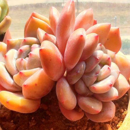 Изображение профиля